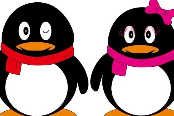 qq加陌生人好友方法